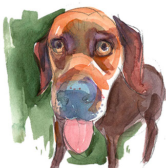 Hound Dog, pet portrait from photo, pet portrait company, family portrait with pets, pet portrait photography, personalized pet portraits