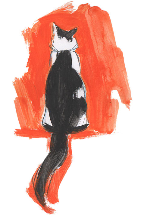 Tuxedo Cat, Pet Portrait, whimsy, art, sketch, paint, painting, watercolor, watercolor artist, unique, portraiture, pet