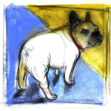 French Bulldog, Pet Portrait, whimsy, art, sketch, paint, painting, watercolor, watercolor artist, portrait, portraiture, pet